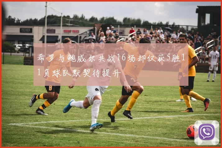 希罗与鲍威尔共战16场却仅获5胜11负球队默契待提升
